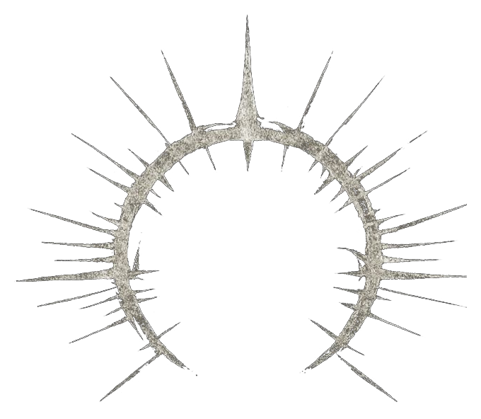 Archangel Armor crown emblem